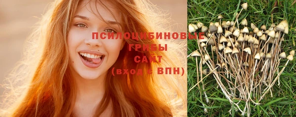 амф Каменногорск