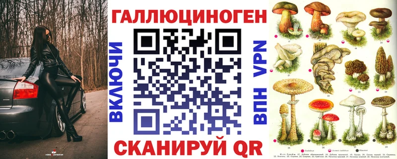 как найти наркотики Ленинградская Галлюциногенные грибы MAGIC MUSHROOMS