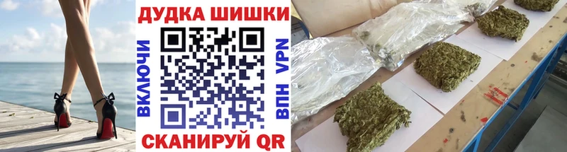 Марихуана план  цена наркотик  kraken рабочий сайт  Ленинградская 